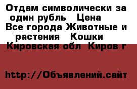 Отдам символически за один рубль › Цена ­ 1 - Все города Животные и растения » Кошки   . Кировская обл.,Киров г.